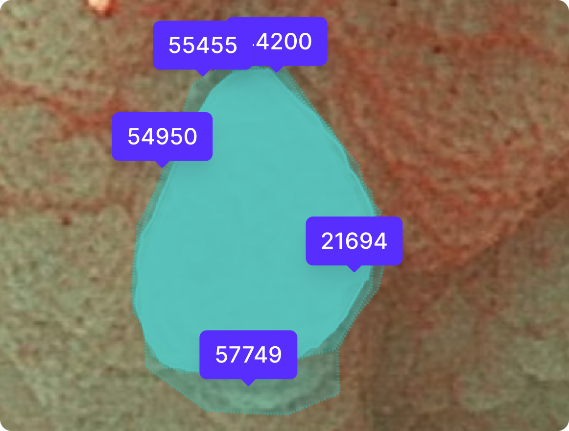 Image product
